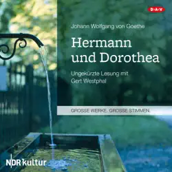 hermann und dorothea audiobook cover image