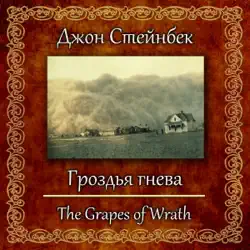 grozd'ya gneva audiobook cover image