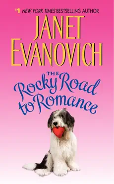 the rocky road to romance book cover image