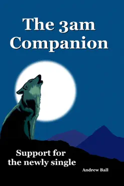 the 3am companion book cover image