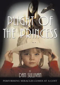 plight of the princess book cover image