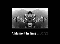 a moment in time book cover image