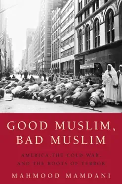 good muslim, bad muslim book cover image