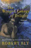 The Winged Energy of Delight synopsis, comments