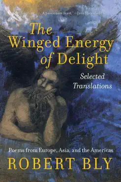 the winged energy of delight book cover image