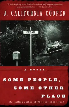 some people, some other place book cover image
