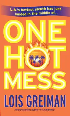 one hot mess book cover image