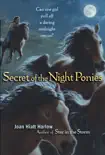 Secret of the Night Ponies synopsis, comments