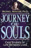 Journey of Souls book summary, reviews and download