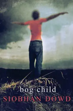 bog child book cover image