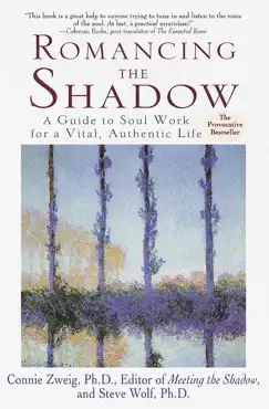 romancing the shadow book cover image