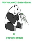 Surviving Google Panda Updates synopsis, comments