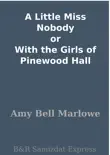 A Little Miss Nobody or With the Girls of Pinewood Hall synopsis, comments