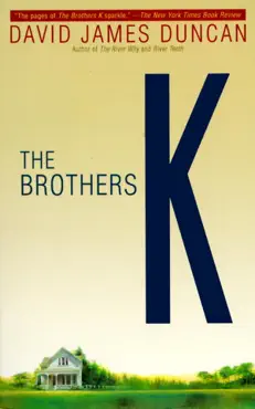 the brothers k book cover image