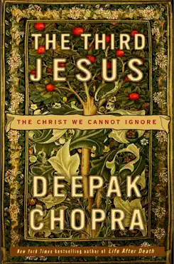 the third jesus book cover image