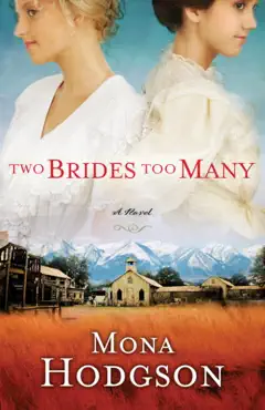 two brides too many book cover image