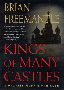 kings of many castles book cover image