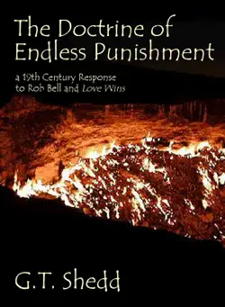 the doctrine of endless punishment book cover image