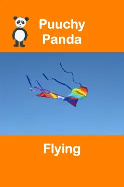 puuchy panda flying book cover image