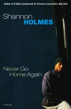 never go home again book cover image