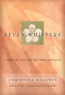 the seven whispers book cover image