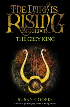 the grey king imagen de la portada del libro