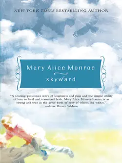 skyward book cover image