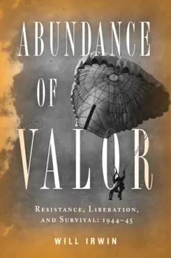 abundance of valor book cover image