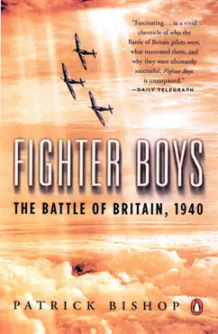 fighter boys book cover image