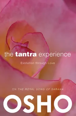 the tantra experience book cover image