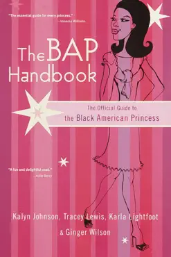 the bap handbook book cover image