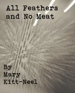all feathers and no meat book cover image