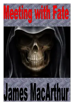 meeting with fate imagen de la portada del libro
