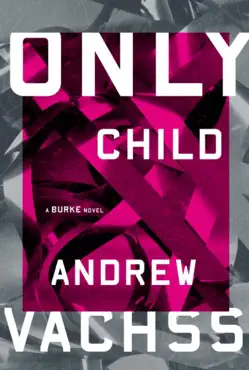 only child book cover image