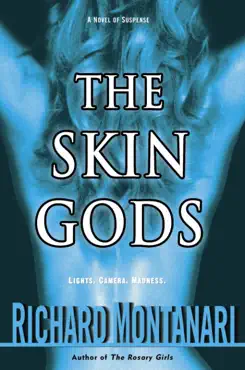 the skin gods book cover image