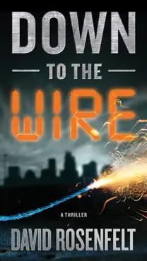 down to the wire book cover image