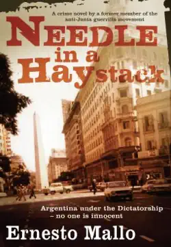needle in a haystack book cover image