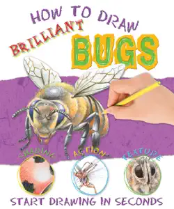 how to draw bugs book cover image