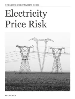 electricity price risk imagen de la portada del libro
