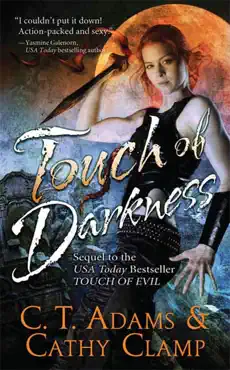 touch of darkness book cover image
