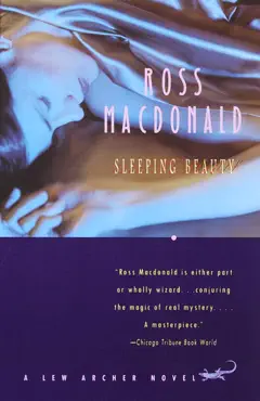 sleeping beauty book cover image