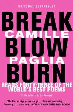 break, blow, burn imagen de la portada del libro