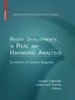 Recent Developments in Real and Harmonic Analysis sinopsis y comentarios
