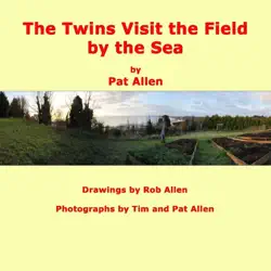 the twins visit the field by the sea book cover image