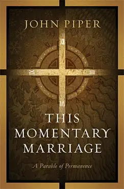 this momentary marriage book cover image