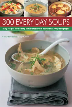 300 every day soups book cover image