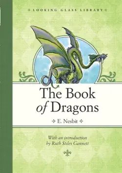 the book of dragons book cover image