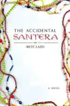 The Accidental Santera synopsis, comments