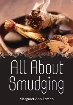 all about smudging book cover image