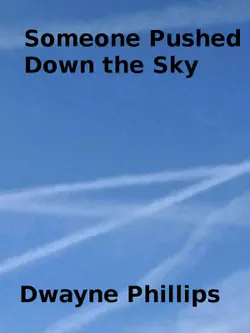 someone pushed down the sky book cover image